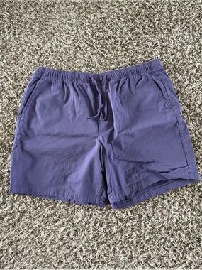 GAP Men's Flat Front Drawstring Shorts in Purple